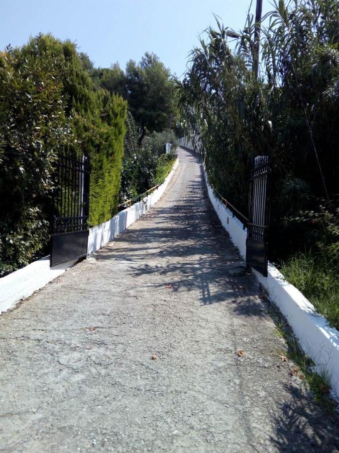 Villa Xanthippi Aya Paraskevi Dış mekan fotoğraf
