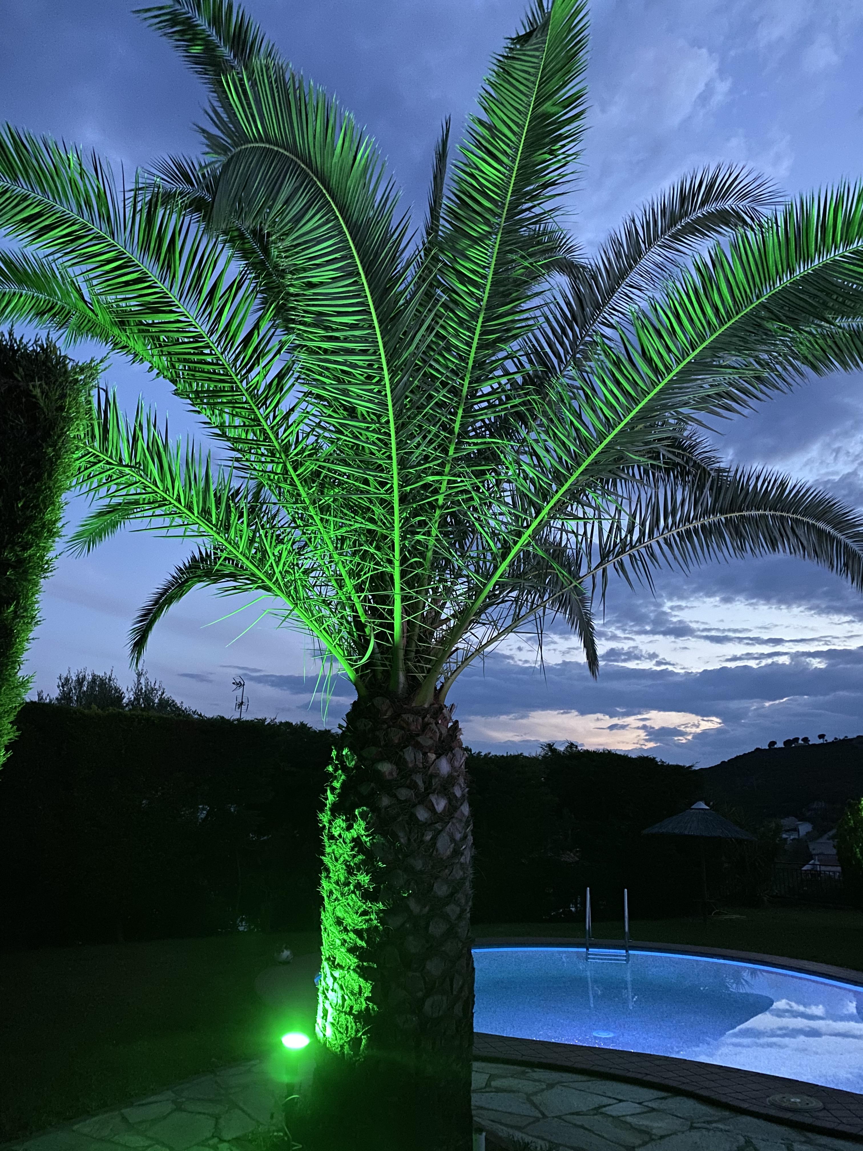 Villa Xanthippi Aya Paraskevi Dış mekan fotoğraf
