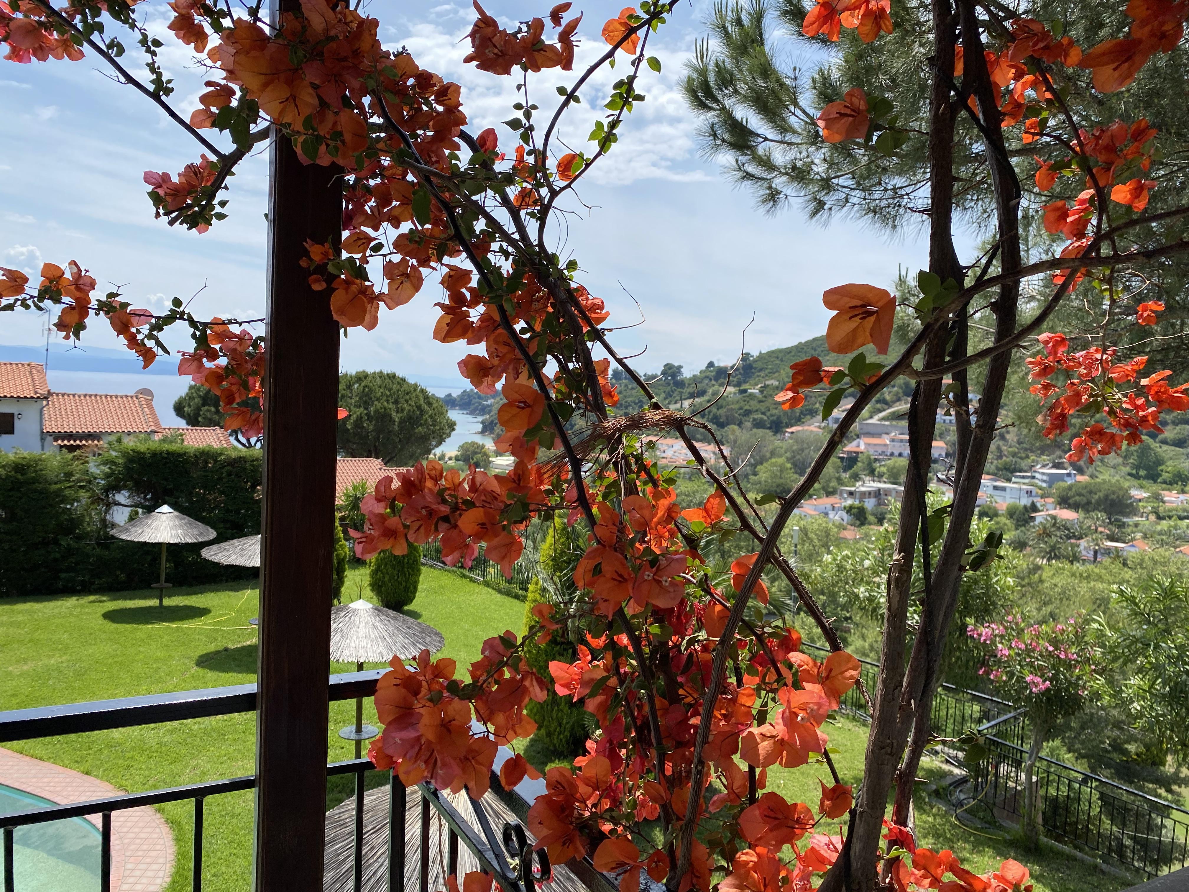 Villa Xanthippi Aya Paraskevi Dış mekan fotoğraf